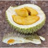 D13 Durian 400 grams