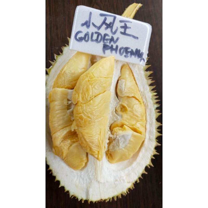 Golden Phoenix Durian 400grams