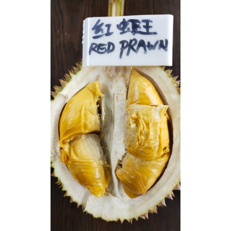 Red Prawn Durian