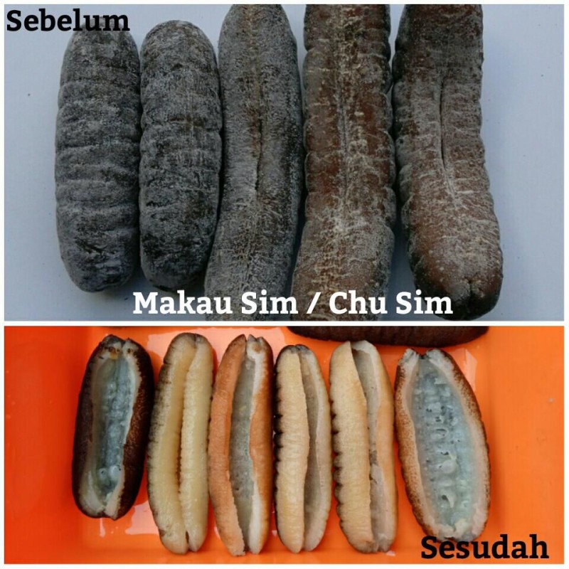 Dried Sand Fish Sea Cucumber