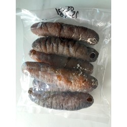 Dried Sand Fish Sea Cucumber