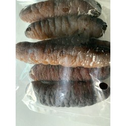 Dried Sand Fish Sea Cucumber