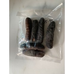 Dried Sand Fish Sea Cucumber